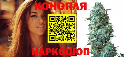 индика Бузулук