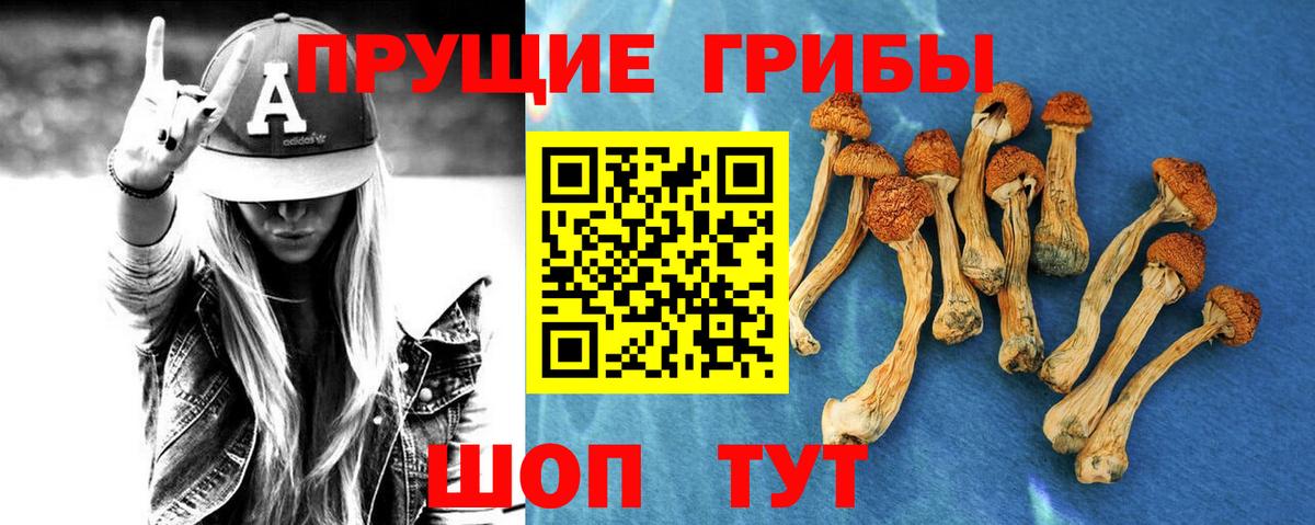 Сургут  Псилоцибиновые грибы GOLDEN TEACHER  Вход с VPN  Галлюциногенные грибы Magic Shrooms 