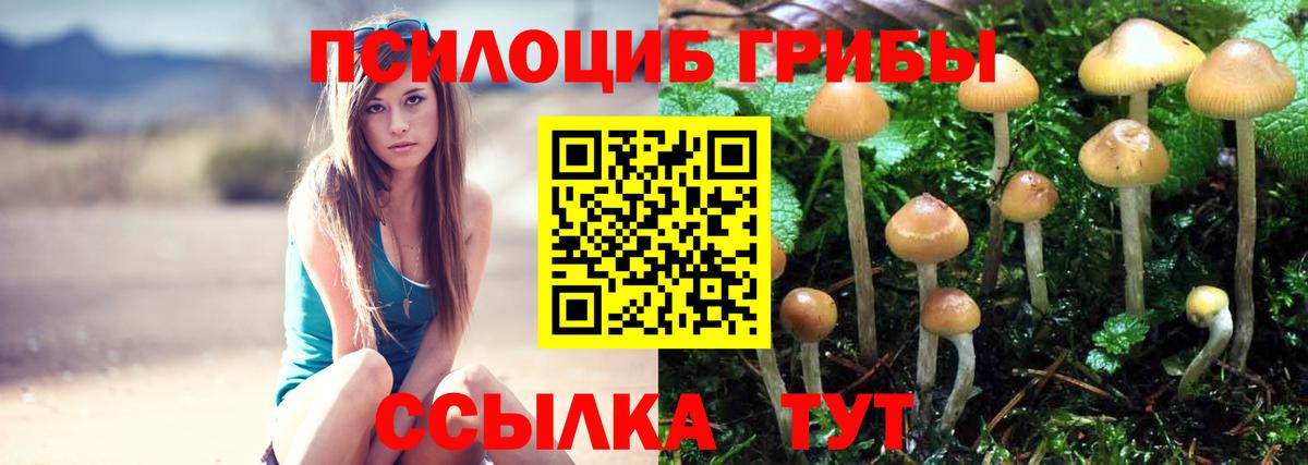 Псилоцибиновые грибы прущие грибы Сургут